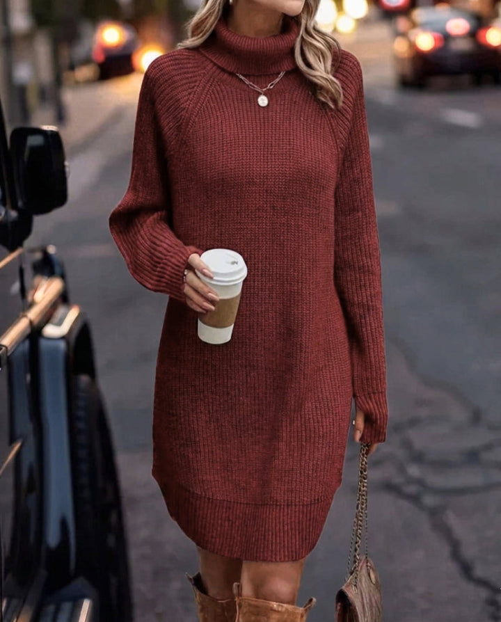 Andromache | Knit Mini Dress Long Sleeve
