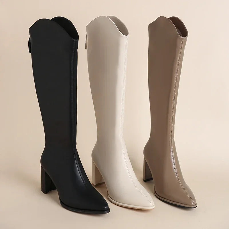 Trinidad | Women's Knee High Boots | Block Heel Pointed Toe Zip