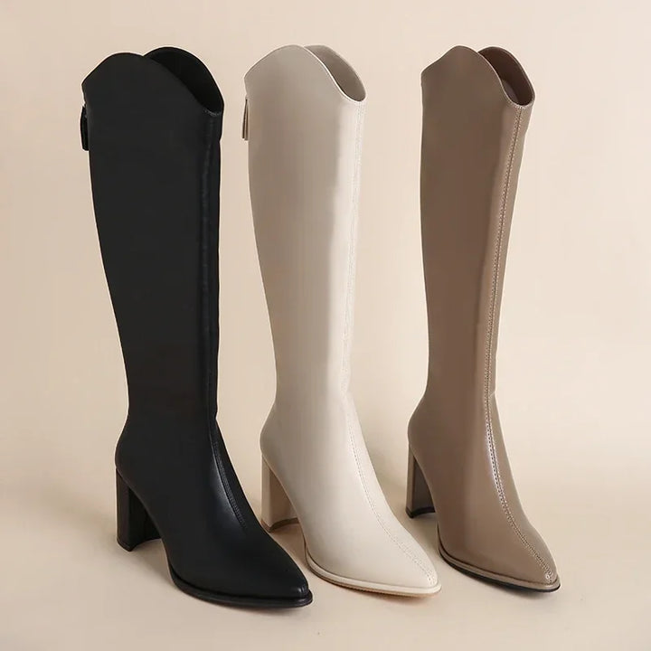 Trinidad | Women's Knee High Boots | Block Heel Pointed Toe Zip