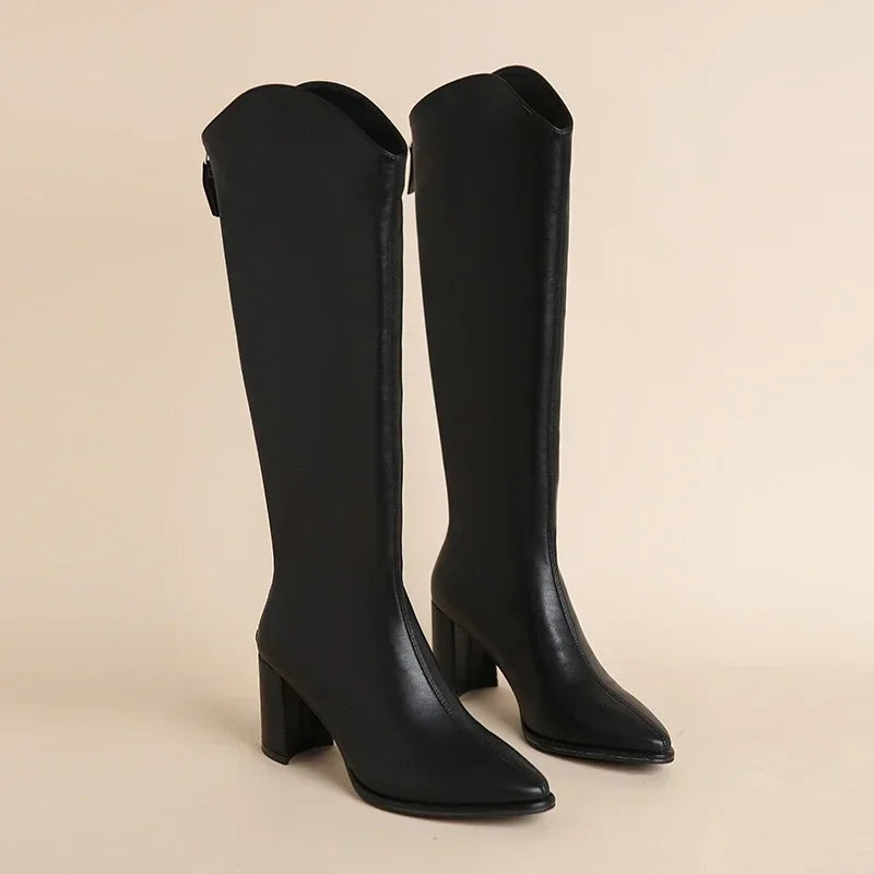 Trinidad | Women's Knee High Boots | Block Heel Pointed Toe Zip