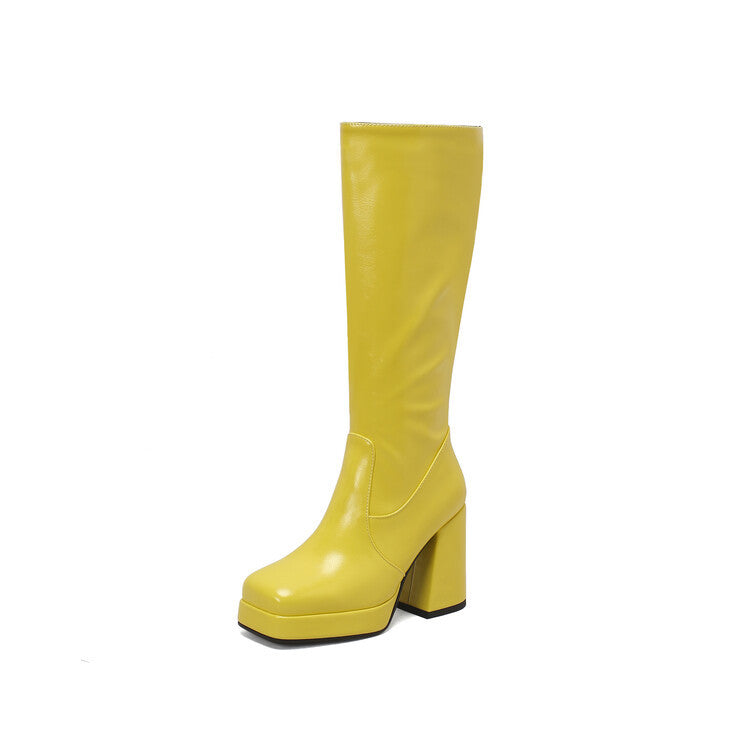 Hortensia | Women's Knee High Boots | Block Heel Platform Side Zip