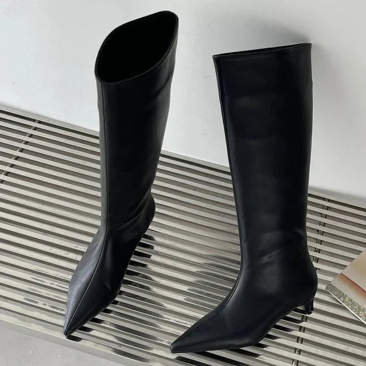 Encarnacion | Women's Knee High Boots | Pointed Toe Kitten Heel