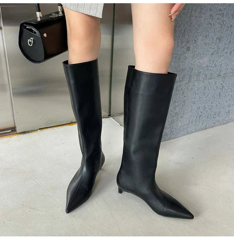 Encarnacion | Women's Knee High Boots | Pointed Toe Kitten Heel
