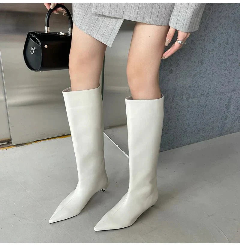 Encarnacion | Women's Knee High Boots | Pointed Toe Kitten Heel