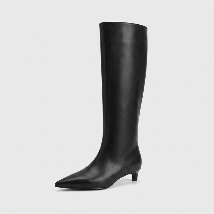 Encarnacion | Women's Knee High Boots | Pointed Toe Kitten Heel