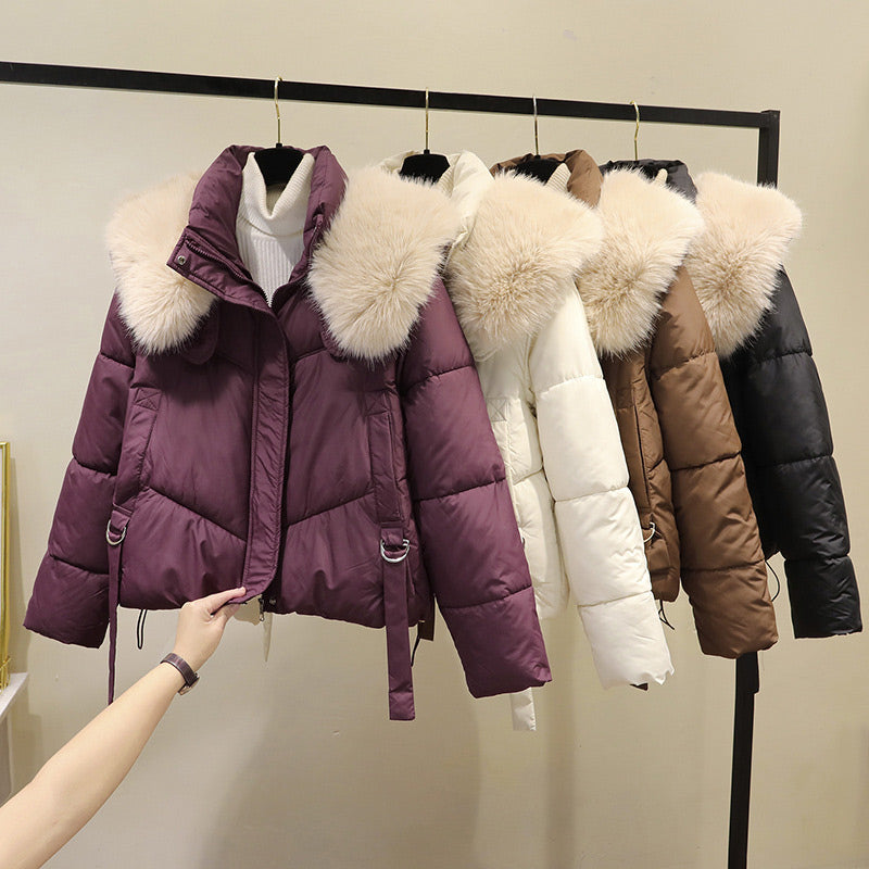 Una | Women's Cropped Winter Puffer Jacket | Stand & Fluffy Collar