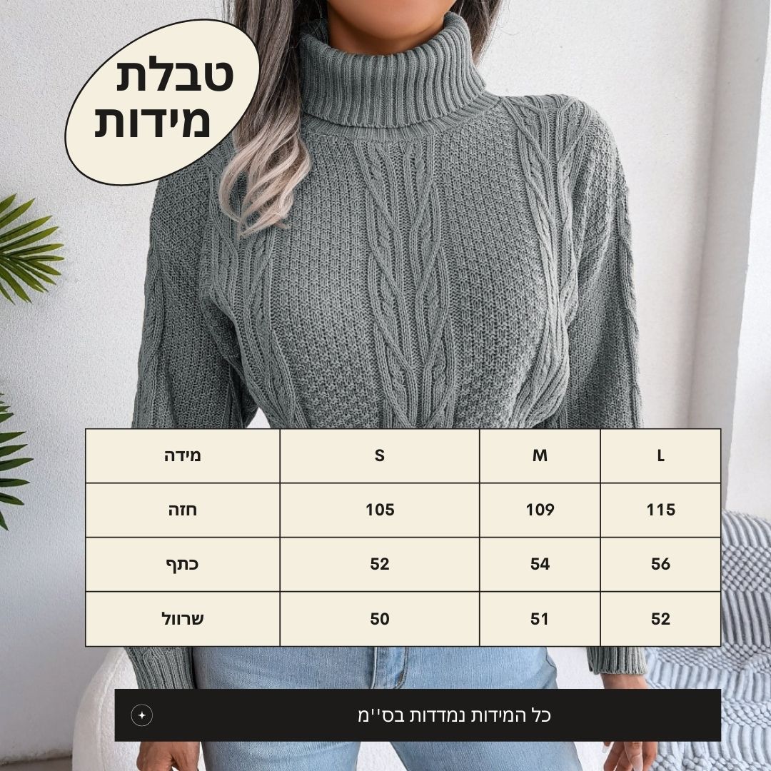 סוודר ''ABISHAG''